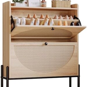 Shoe Cabinet Storage