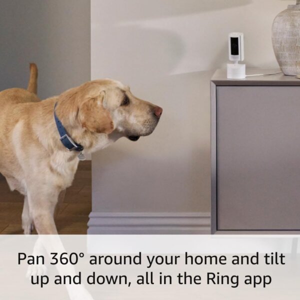 Ring Pan-Tilt Indoor Cam | See all around your home 1 - Image 6