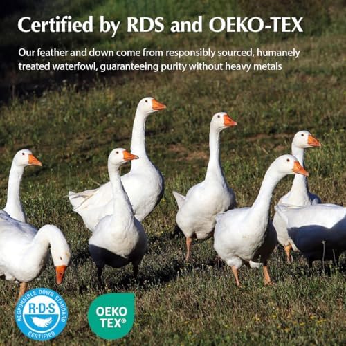 Pacific Fiber Pillows Coast White Goose Down since 1088, Bed Pillows for Back, Stomach and Side Sleepers 7 Pacific Fiber Pillows Coast White Goose Down since 1088, Bed Pillows for Back, Stomach and Side Sleepers - Image 7