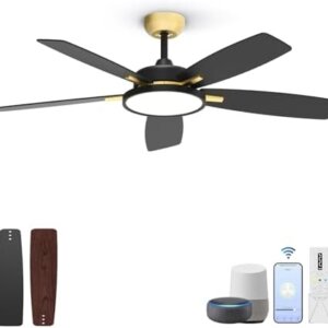 Roomratv Ceiling Fans With Lights