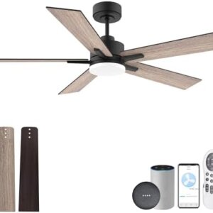 Lorpies Ceiling Fan Outdoor