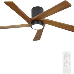 Energy Efficient DC Ceiling Fan