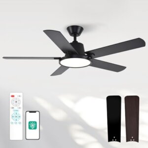 Orison Ceiling Fans with Lights