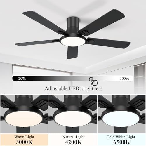Low Profile Ceiling Fan With Remote Happened Extra Confidential 6 Low Profile Ceiling Fan With Remote Happened Extra Confidential - Image 6