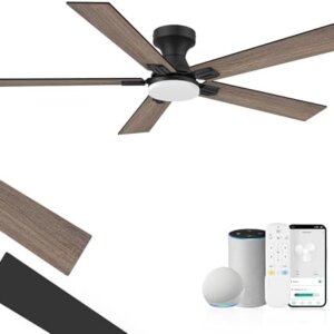 smart ceiling fan with lights