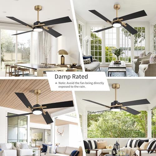 Dimmable Ceiling Fan With LED Light Its Frantic Professional 8 Dimmable Ceiling Fan With LED Light Its Frantic Professional - Image 8